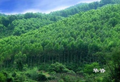 綠水青山：湖南長沙水土保持方案編制/水保驗(yàn)收/創(chuàng)新水土保持工作的思考