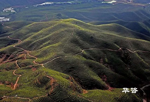 快訊！湖南永州藍山公路項目水土保持方案（水保）順利通過專家評議