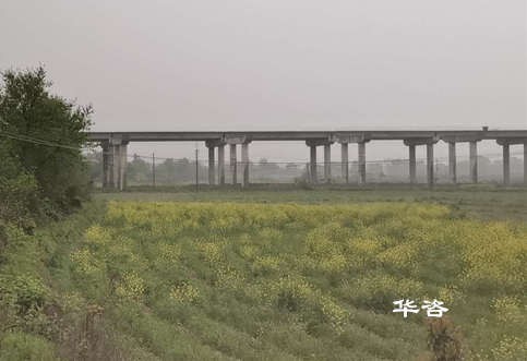 好消息！華咨公司測量團隊再次交付岳陽、常德項目水下地形圖測量成果